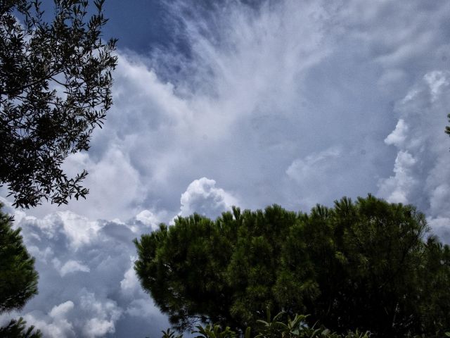 πρόγνωση για Πέμπτη 1/5/25