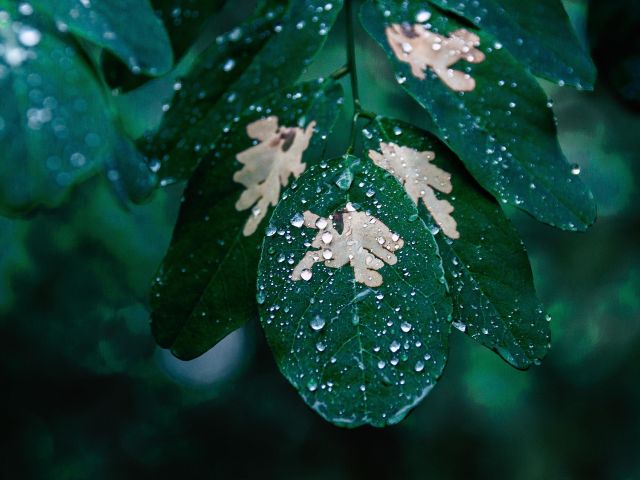 πρόγνωση για Τρίτη 27/5/25
