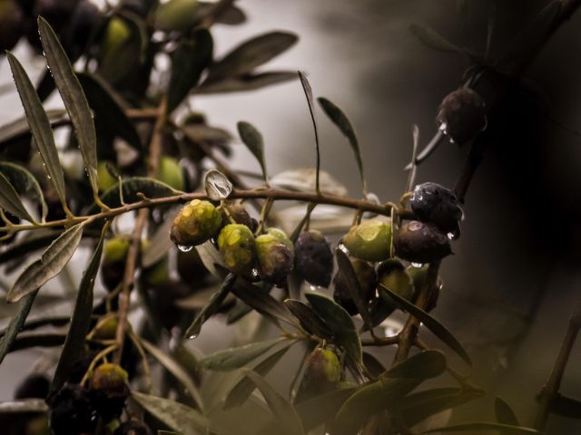 ΠΡΟΓΝΩΣΗ 6/12