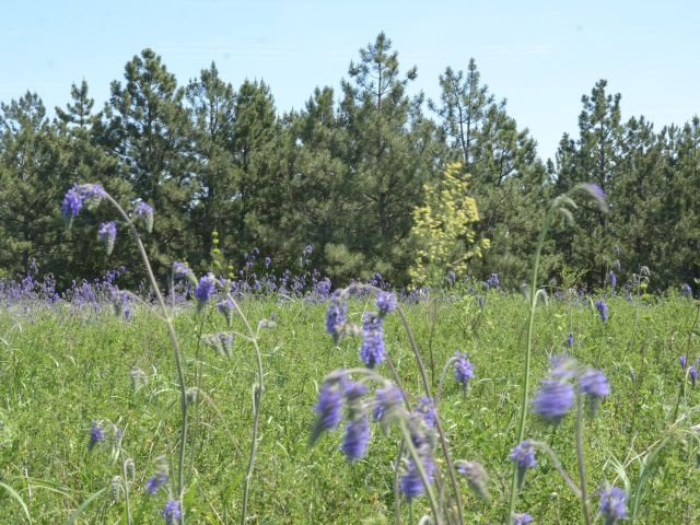 Ιδανικός καιρός για… την εβδομάδα 25/3-1/4