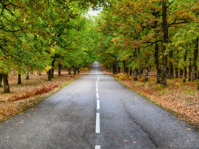 πρόγνωση για Πέμπτη 28-11-24