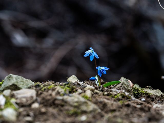 ιδανικός καιρός για 8-15/4/2024