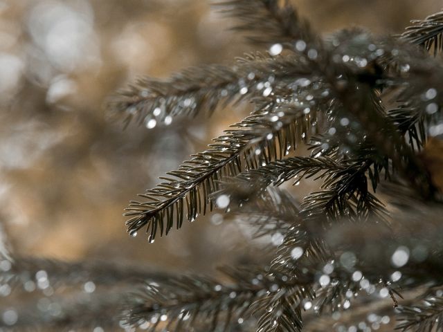 ΠΡΟΓΝΩΣΗ ΤΕΤΑΡΤΗ 20/12