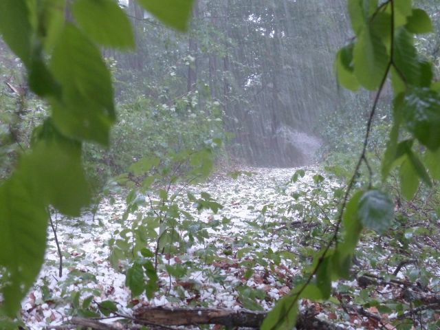 πρόγνωση για Τετάρτη 2/4/25