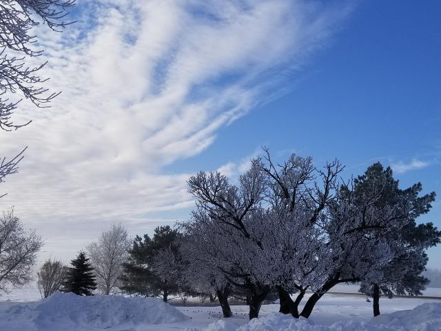 πρόγνωση για Παρασκευή 21/2/25