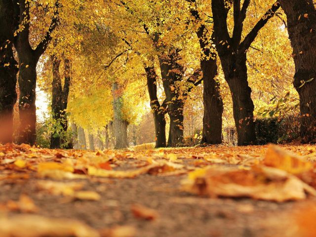 πρόγνωση για Κυριακή 17 /11/ 24