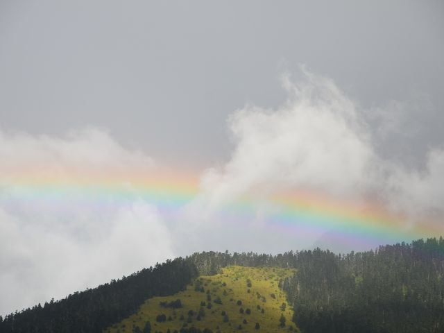 ΠΡΟΓΝΩΣΗ 26/5