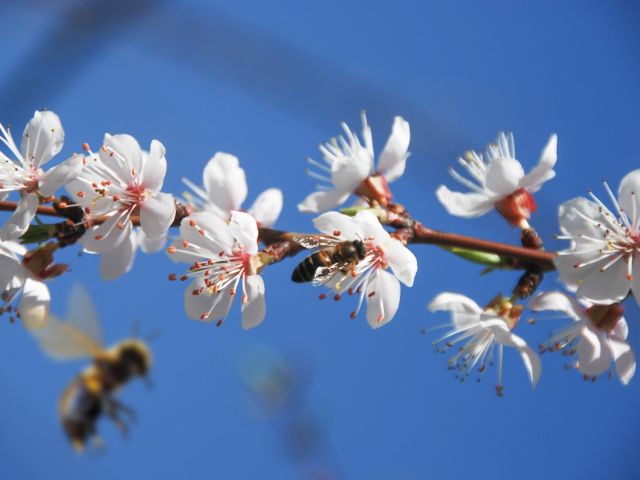 Πρόγνωση για Τετάρτη 14/5/25